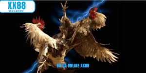 Ảnh đại diện đá gà online XX88