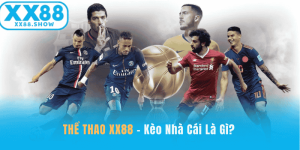 Ảnh đại diện kèo nhà cái